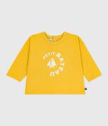 amarillo NAPLES