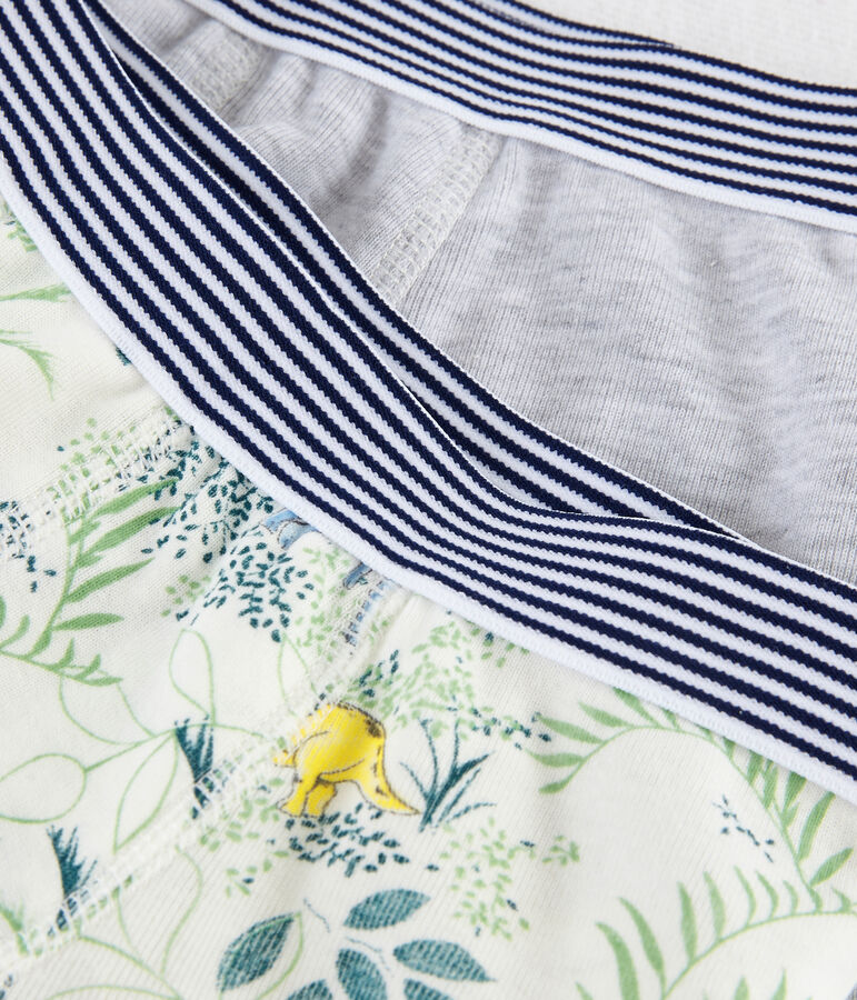 Juego de ropa interior para ni&ntilde;o peque&ntilde;a multicolor