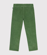 verde PALMERAIE