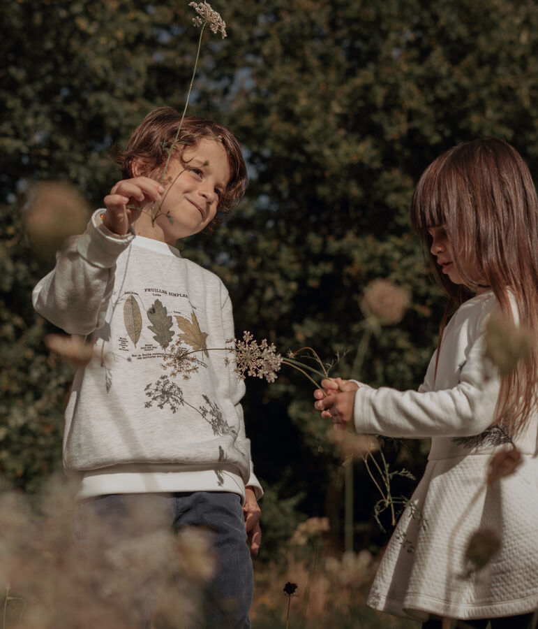 Sudadera de ni&ntilde;o Petit Bateau x Deyrolle beige