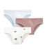 Lote de slips para niño