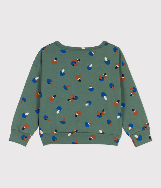 Sudadera estampada de mulet&oacute;n de ni&ntilde;o verde/multicolor