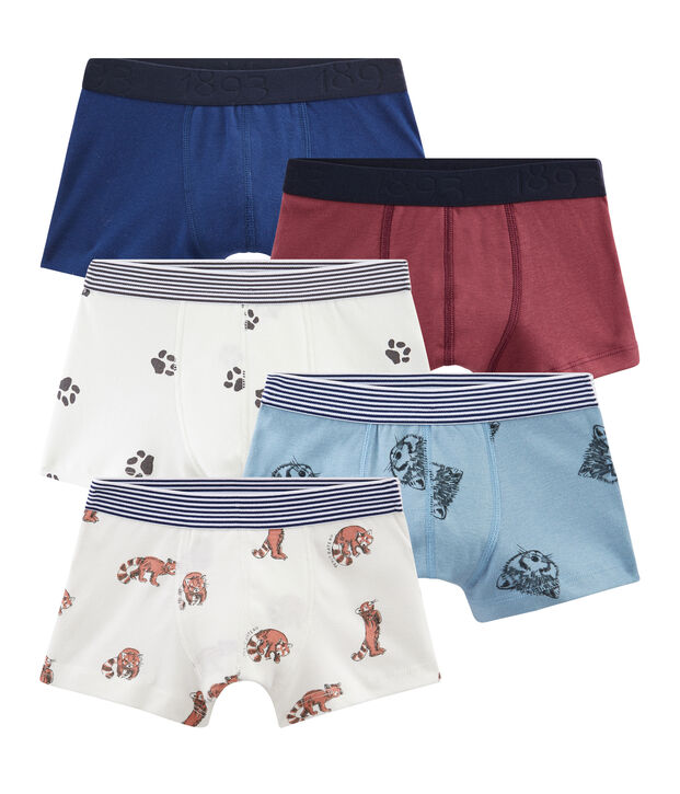 Lote de 5 b&oacute;xers infantiles para ni&ntilde;o multicolor