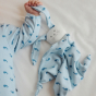 Petit Bateau