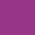 violeta HIBISCUS